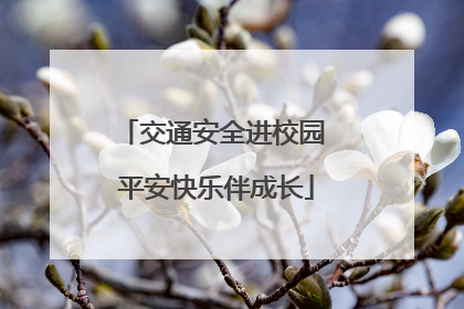 交通安全进校园 平安快乐伴成长