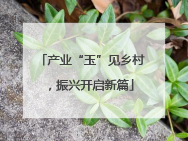 产业“玉”见乡村，振兴开启新篇