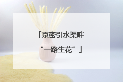 京密引水渠畔“一路生花”