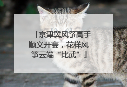 京津冀风筝高手顺义开赛，花样风筝云端“比武”