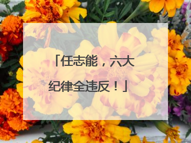 任志能，六大纪律全违反！
