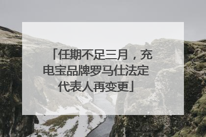 任期不足三月，充电宝品牌罗马仕法定代表人再变更