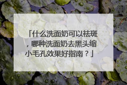 什么洗面奶可以祛斑，哪种洗面奶去黑头缩小毛孔效果好指南？