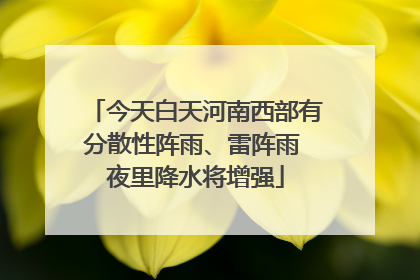 今天白天河南西部有分散性阵雨、雷阵雨 夜里降水将增强