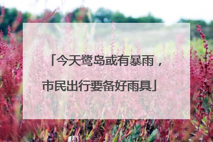 今天鹭岛或有暴雨，市民出行要备好雨具