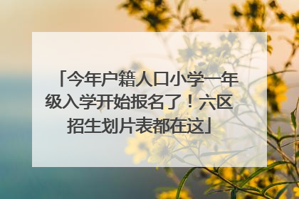 今年户籍人口小学一年级入学开始报名了！六区招生划片表都在这