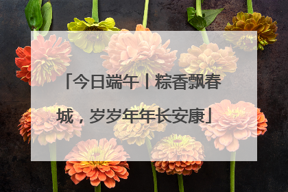 今日端午丨粽香飘春城，岁岁年年长安康
