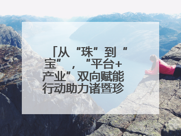 从“珠”到“宝”，“平台+产业”双向赋能行动助力诸暨珍珠升级蜕变