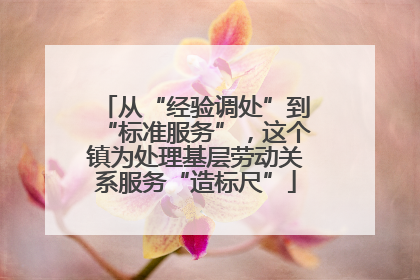 从“经验调处”到“标准服务”，这个镇为处理基层劳动关系服务“造标尺”