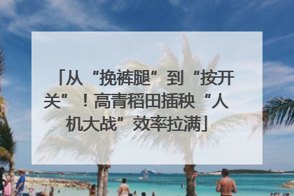 从“挽裤腿”到“按开关”！高青稻田插秧“人机大战”效率拉满