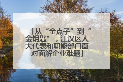 从“金点子”到“金钥匙”，江汉区人大代表和职能部门面对面解企业难题