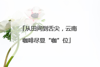 从田间到舌尖，云南咖啡尽显“咖”位