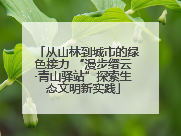 从山林到城市的绿色接力 “漫步缙云·青山驿站”探索生态文明新实践