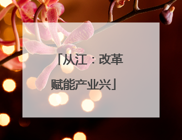 从江：改革赋能产业兴