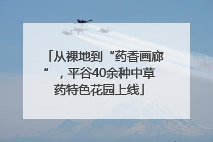 从裸地到“药香画廊”，平谷40余种中草药特色花园上线