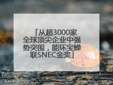 从超3000家全球顶尖企业中强势突围，能环宝蝉联SNEC金奖