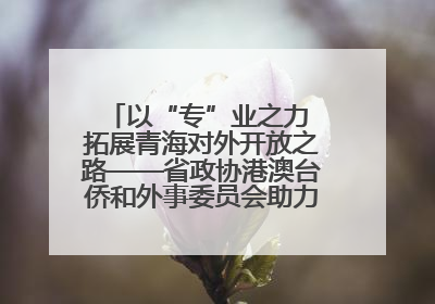 以“专”业之力 拓展青海对外开放之路——省政协港澳台侨和外事委员会助力我省高水平开放和高质量发展