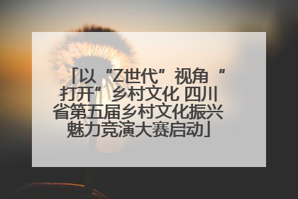 以“Z世代”视角“打开”乡村文化 四川省第五届乡村文化振兴魅力竞演大赛启动
