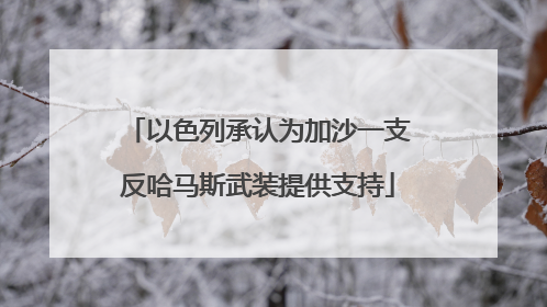 以色列承认为加沙一支反哈马斯武装提供支持