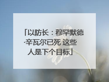 以防长：穆罕默德·辛瓦尔已死 这些人是下个目标