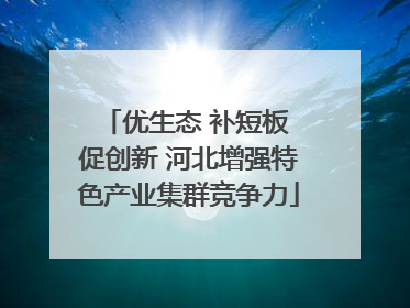 优生态 补短板 促创新 河北增强特色产业集群竞争力