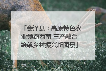 会泽县：高原特色农业领跑西南 三产融合绘就乡村振兴新图景