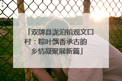 双牌县泷泊镇观文口村：粽叶飘香承古韵 乡情凝聚展新篇