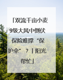 双流千亩小麦9级大风中倒伏 保险难撑“保护伞”？丨阳光帮忙