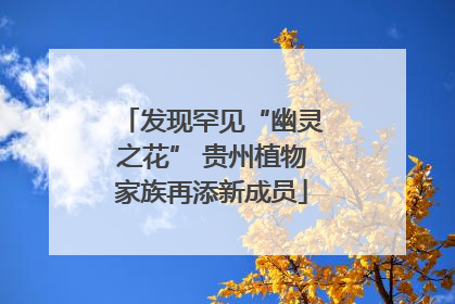发现罕见“幽灵之花” 贵州植物家族再添新成员