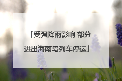 受强降雨影响 部分进出海南岛列车停运