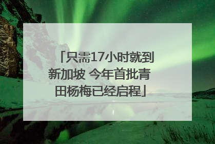 只需17小时就到新加坡 今年首批青田杨梅已经启程