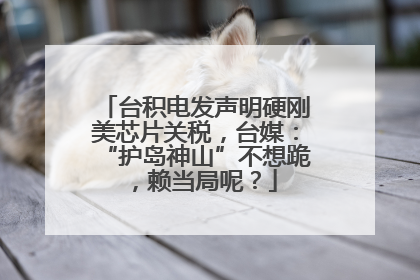 台积电发声明硬刚美芯片关税，台媒：“护岛神山”不想跪，赖当局呢？