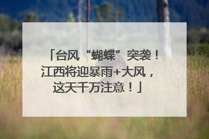 台风“蝴蝶”突袭！江西将迎暴雨+大风，这天千万注意！