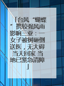 台风“蝴蝶”携较强风雨影响三亚：一女子被树砸倒送医，无大碍当天回家 当地已紧急清障
