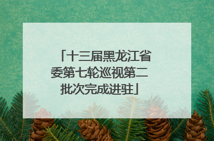 十三届黑龙江省委第七轮巡视第二批次完成进驻