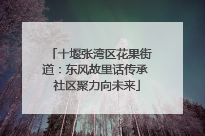 十堰张湾区花果街道：东风故里话传承 社区聚力向未来