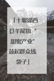 十堰郧西县羊尾镇“甜蜜产业”鼓起群众钱袋子