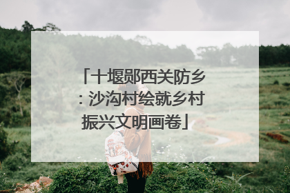 十堰郧西关防乡：沙沟村绘就乡村振兴文明画卷