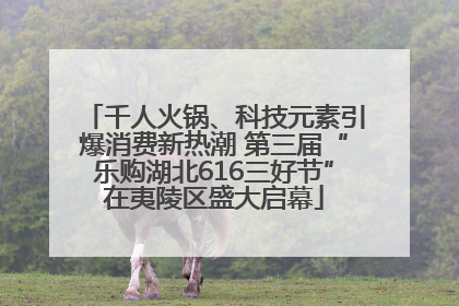 千人火锅、科技元素引爆消费新热潮 第三届“乐购湖北616三好节”在夷陵区盛大启幕