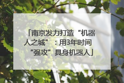 南京发力打造“机器人之城”：用3年时间“强攻”具身机器人