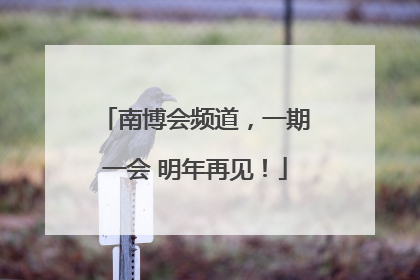 南博会频道，一期一会 明年再见！