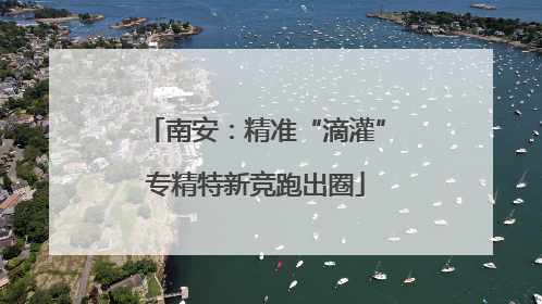 南安：精准“滴灌”专精特新竞跑出圈