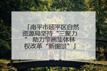 南平市延平区自然资源局坚持“三聚力” 助力擎画集体林权改革“新图景”