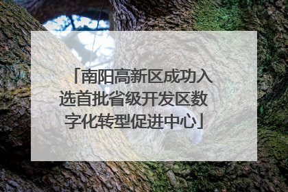 南阳高新区成功入选首批省级开发区数字化转型促进中心