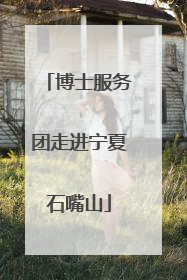 博士服务团走进宁夏石嘴山