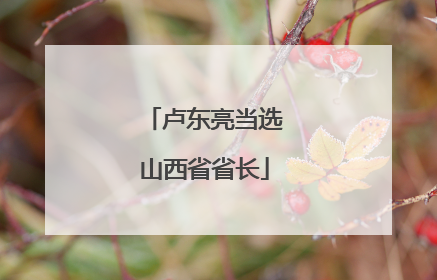 卢东亮当选山西省省长
