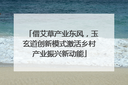 借艾草产业东风，玉玄道创新模式激活乡村产业振兴新动能