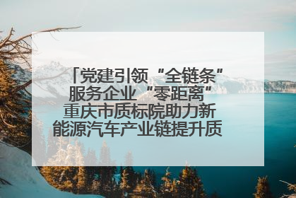 党建引领“全链条” 服务企业“零距离” 重庆市质标院助力新能源汽车产业链提升质量管理水平