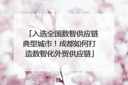 入选全国数智供应链典型城市！成都如何打造数智化外贸供应链