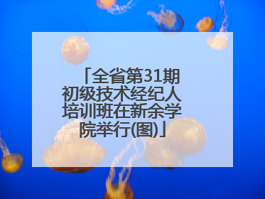 全省第31期初级技术经纪人培训班在新余学院举行(图)